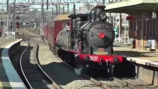 TRANSPORT HERITAGE EXPO SYDNEY 2015 STEAM TRAINS [upl. by Ahsercul839]