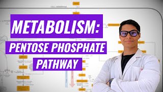 Pentose Phosphate Pathway Ninja Nerd Synthesis [upl. by Nosloc985]