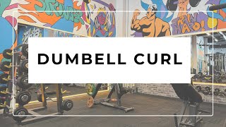 DUMBELL CURL [upl. by Sadoc]