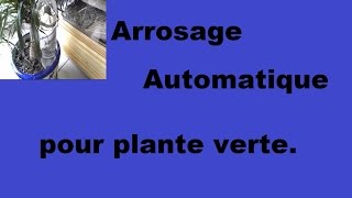 Arrosage automatique pour plante verte [upl. by Yenot211]