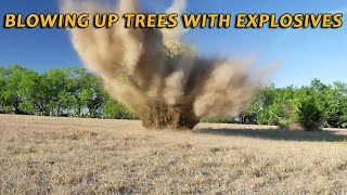 Blowing Up Trees With High Explosives Tons of Explosions [upl. by Aitital]