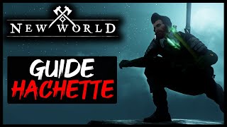 NEW WORLD  GUIDE HACHETTE [upl. by Yentrok795]