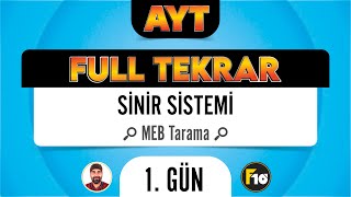 MEB Biyoloji Kitabı Sinir Sistemi Taraması F10 Full Tekrar Kampı [upl. by Farrison771]