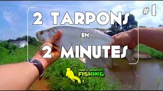 1 Street fishing Rémire Montjoly 2 tarpons en 2 minutes [upl. by Ferd638]