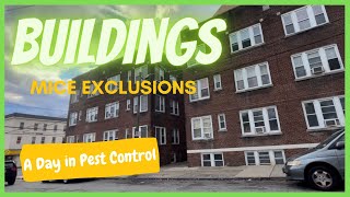 Pest Control in Buildings excluding mice [upl. by Elam]