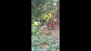 Baumschere Fällgreifer HBS 230 Wacker Neuson im Wald [upl. by Natehc]