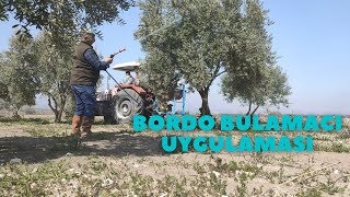 Zeytin Ağaçlarına Bordo Bulamacı Uygulaması Yapıyoruz [upl. by Ettigirb487]