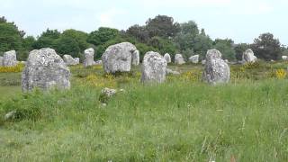 carnac stones and wonderful wild flowers [upl. by Yesdnyl]