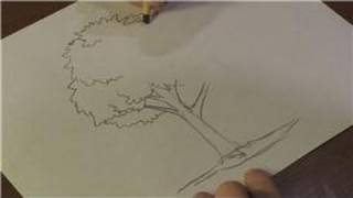 Nature Drawings  How to Draw a Walnut Tree [upl. by Tennek859]