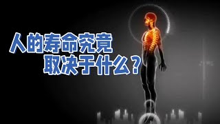 人的寿命取决于什么？揭秘影响寿命的神秘因素 [upl. by Niffirg]