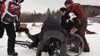 Wheelchair dog sled holidays Canada  Arctic Aventure [upl. by Saloma]