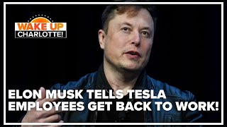 Elon Musk Tesla workers must return to the office or find a new job [upl. by Steinway722]