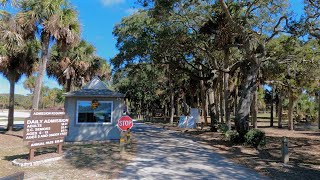 Scenic Drive to Edisto Beach State Park via Rt 174 from 17  South Carolina  Lowcountry [upl. by Akenahc]