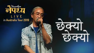 Nepathya  Chhekyo Chhekyo छेक्योछेक्यो  Live in Nepathya Australia Tour 2019 [upl. by Uyr]