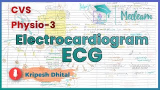 CVS Physio 3 Electrocardiogram ECG Basics  Conductive system electrophysiology  MEDLEARN [upl. by Elletnohs]