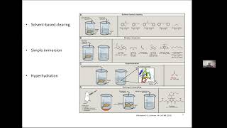 20240206 Clearing and expansion microscopy [upl. by Gairc916]