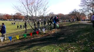 Mass All State Div 2 Boys XC Race 2014 at Franklin Park 111514 [upl. by Raddi]