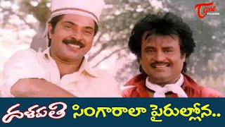 Singarala Pairullona Song  Dalapathi Movie Songs  Rajinikanth Mammootty  Old Telugu Songs [upl. by Jacinthe683]