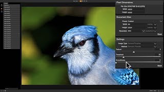 Mastering On1 Photo RAW 2018  Episode 32 Resize [upl. by Relyuhcs]