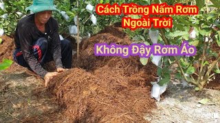 Cách trồng nấm rơm ngoài trời Không đậy rơm áo Vào Mùa Mưa [upl. by Ury]