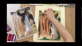 Art Lesson How to Draw a Horse Oil Pastel [upl. by Aineg]