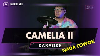 CAMELIA 2 KARAOKE NADA COWOK PRIA [upl. by Hollie78]