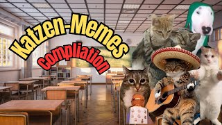 Lustige KatzenMemes Compilation 😂 [upl. by Jorgensen]