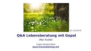 QampA Lebensberatung mit Gopal 01102019 [upl. by Eseerehs]