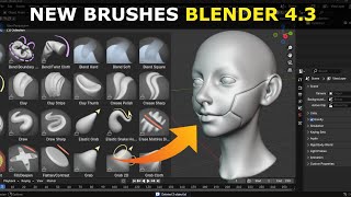 NEW Sculpt Brushes In Blender 43   Must Try [upl. by Elwira971]