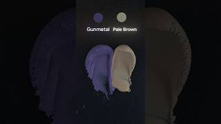 Gunmetal  pale Brown  colormixing colors [upl. by Budworth982]