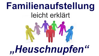 Familienaufstellung einfach erklärt quotHeuschnupfenquot [upl. by Rinaldo]