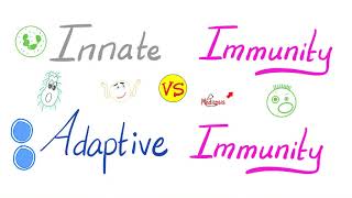 Innate Immunity vs Adaptive Immunity  Complement System  Physiology Lectures Series [upl. by Cinomod]