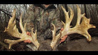 272 inch Whitetail Buck Taken with a Crossbow in PA with The Hunting Company [upl. by Ahk]