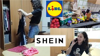 Compras SHEIN  Compra LIDL [upl. by Laius865]