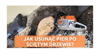 USUWANIE PNIA ŚCIĘTEGO DRZEWA  Frezarka do pni ściętych drzew frezowanie pnia FREZARKA DO PNI [upl. by Merrielle]