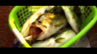 Bass Fishing South Africa  BETT ep 17 2012 GP  Teaser  Nandoni Dam [upl. by Ceil]