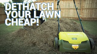 One TOOL to Drastrically Improve Your Lawn [upl. by Zashin]