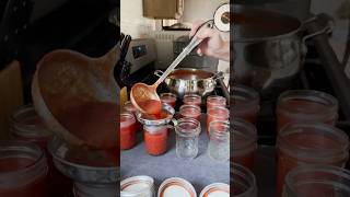 Fiery Tomato Salsa  aka HOT SAUCE 🌶️ 🌶️ 🌶️ homesteading garden canning OhioZone6b [upl. by Masson430]