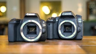 Canon 200DSL2 vs 80D Best Vlogging Camera  InDepth Review [upl. by Janeen519]