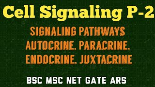 CELL SIGNALING PART 2  AUTOCRINE PARACRINE ENDOCRINE AND JUXTRACRINE PATHWAYS [upl. by Trainer222]