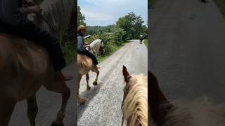 Riding the horses home  with Titus Morris [upl. by Ainorev]