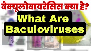 बैक्यूलोवायरेसिस क्या है what are Baculoviruses  biology class 12th  Baculoviridae Family [upl. by Stephannie766]