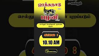 Orathanadu To Palani Bus Timings shorts flowertech669 flowertechtime [upl. by Kcirb]