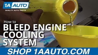 How to Properly Bleed Engine Cooling System by yourself [upl. by Paulson]