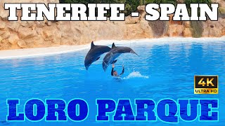 LORO PARQUE  COMPLETE ZOO GUIDE  TENERIFE  SPAIN  4K [upl. by Wilow]