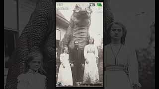 Giant Lazard omiomi story youtubeshorts history historia historical fyp foryou viral [upl. by Furey]