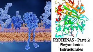 Proteínas Parte 2 [upl. by Nafets]