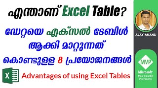 Introduction to Excel Table  Malayalam Tutorial [upl. by Ibrahim]