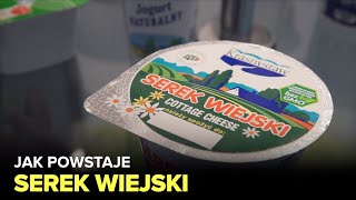 Jak powstaje serek wiejski i jogurt  Fabryki w Polsce [upl. by Niltac876]