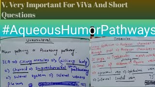 Eye  Aqueous Humor Pathway Made Very Easy [upl. by Ailuj]